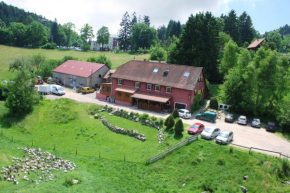 Отель Gîtes du Kreuzweg, Ле Оваль